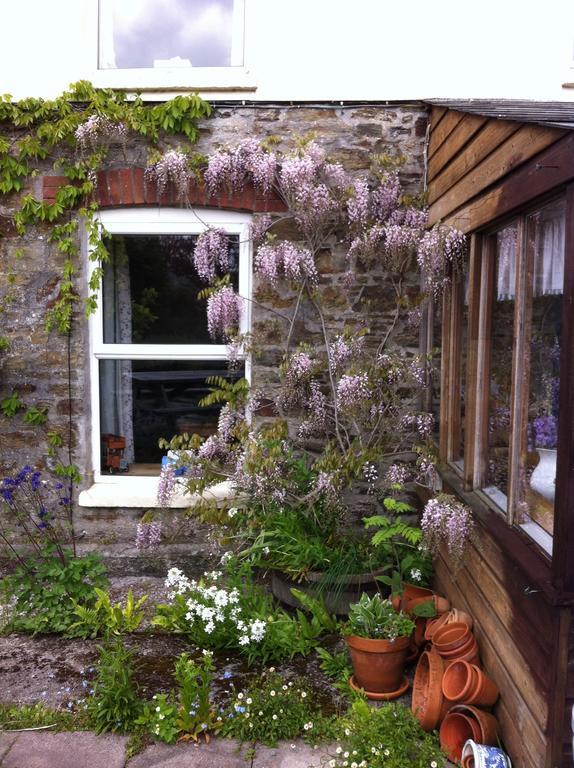 Vine Cottage Penpillick Exterior photo